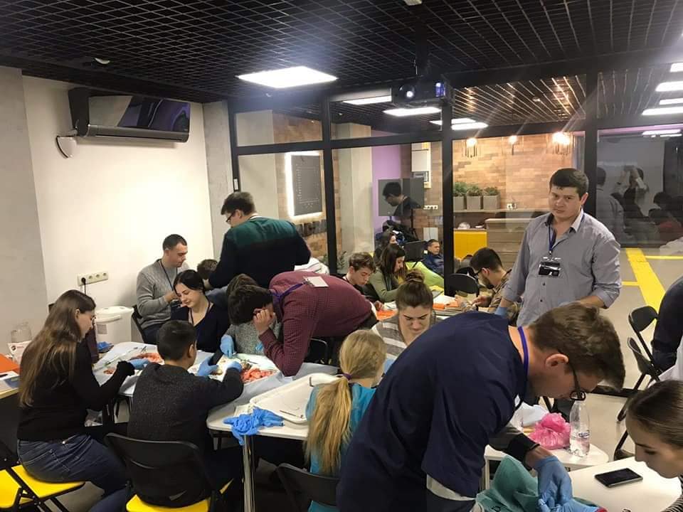 Basic surgical skills